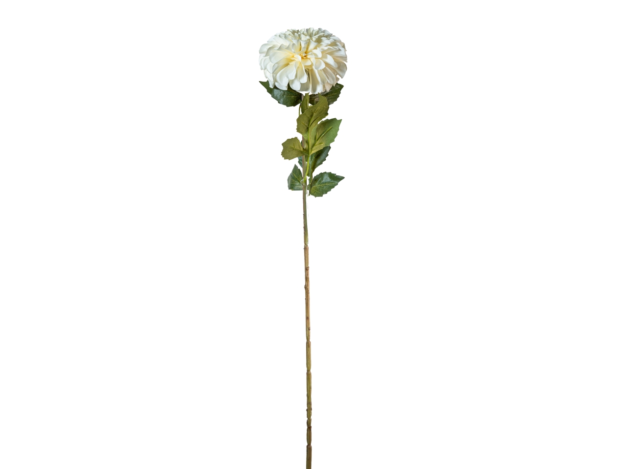RAMO ZINNIA AUTUNNALE 70CM AVORIO 40000013-07 RAMO ZINNIA AUTUNNALE 70CM AVORIO 40000013-07