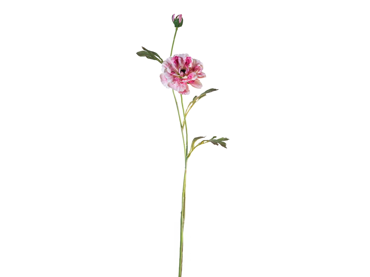RAMO ZINNIA 72CM FIORE C/BOCC. ROSA 18140042-91 RAMO ZINNIA 72CM FIORE C/BOCC. ROSA 18140042-91
