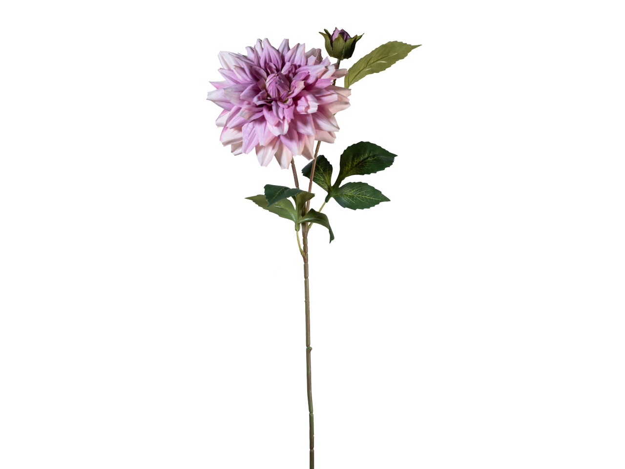 RAMO DALIA 60CM C/BOCCIOLO MALVA 40000031-06