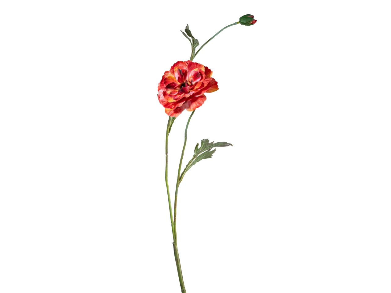 RAMO ZINNIA 72CM FIORE C/BOCC.CORALLO 18140042-102 RAMO ZINNIA 72CM FIORE C/BOCC.CORALLO 18140042-102