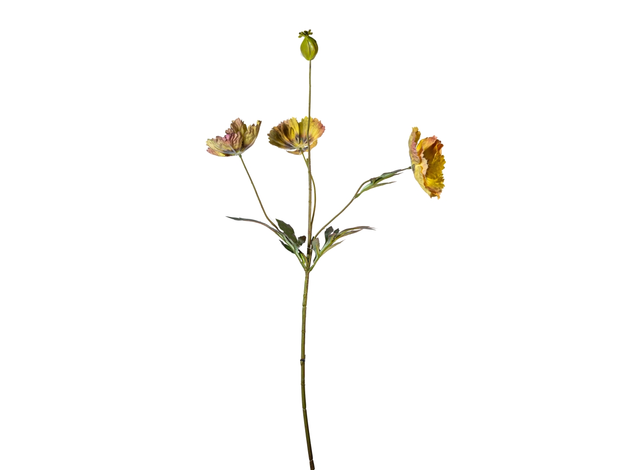 RAMO PAPAVERO 70CM C/FIORI+BOCC.SENAPE18140024-34 RAMO PAPAVERO 70CM C/FIORI+BOCC.SENAPE18140024-34