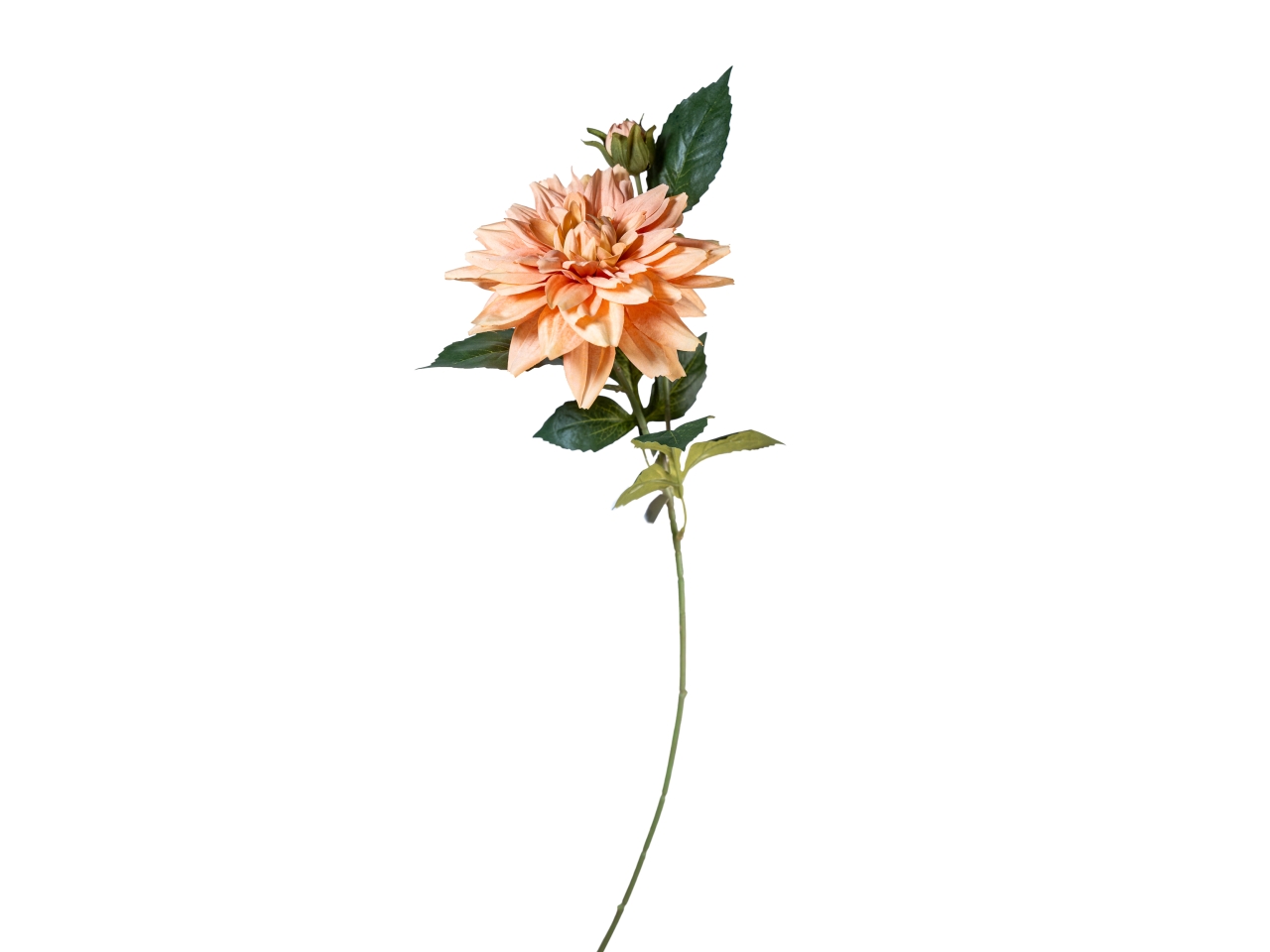 RAMO DALIA 60CM C/BOCCIOLO PESCA 40000031-19