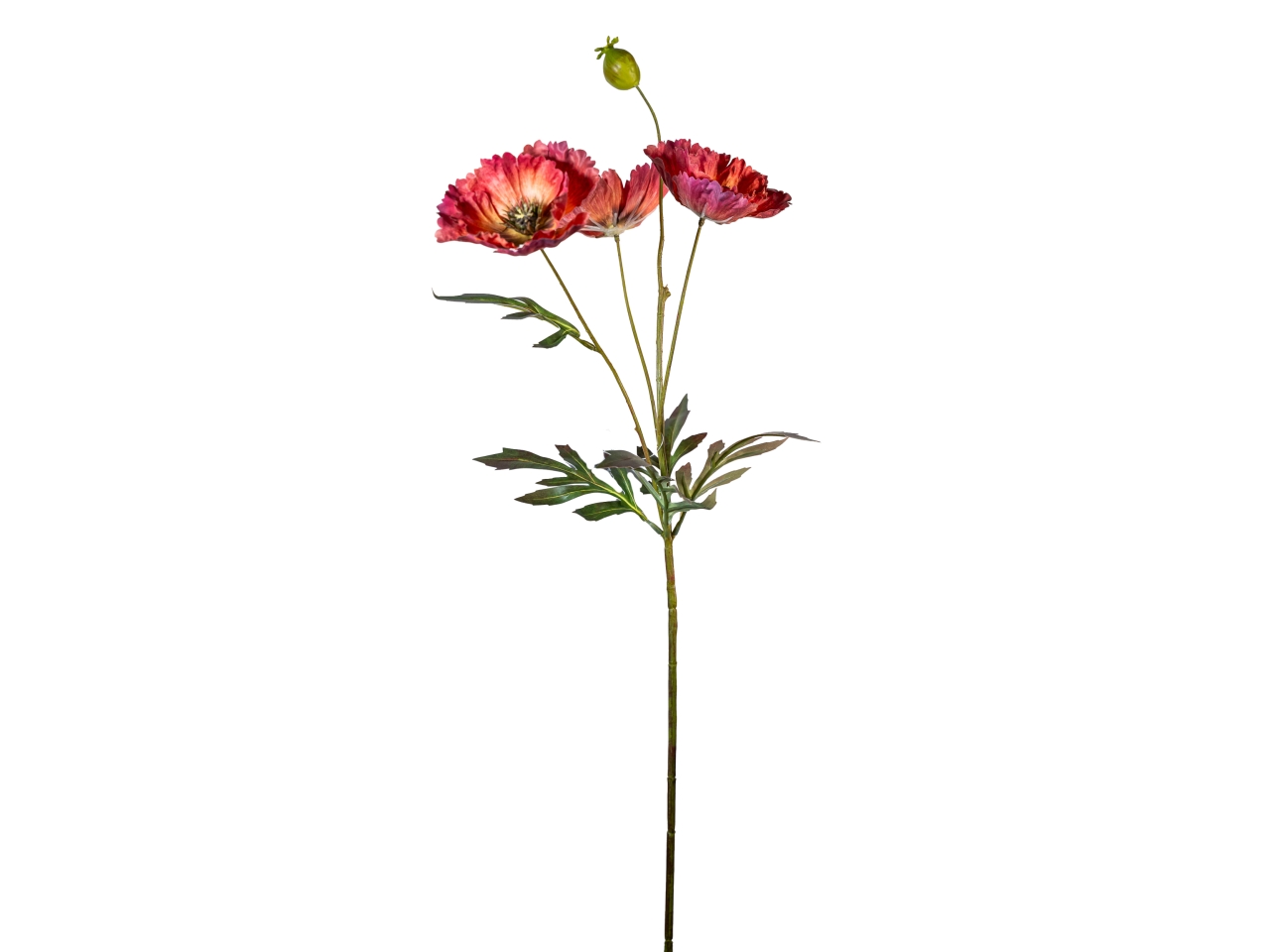 RAMO PAPAVERO70CM C/FIORI+BOCC.CORALLO18140024-102 RAMO PAPAVERO70CM C/FIORI+BOCC.CORALLO18140024-102