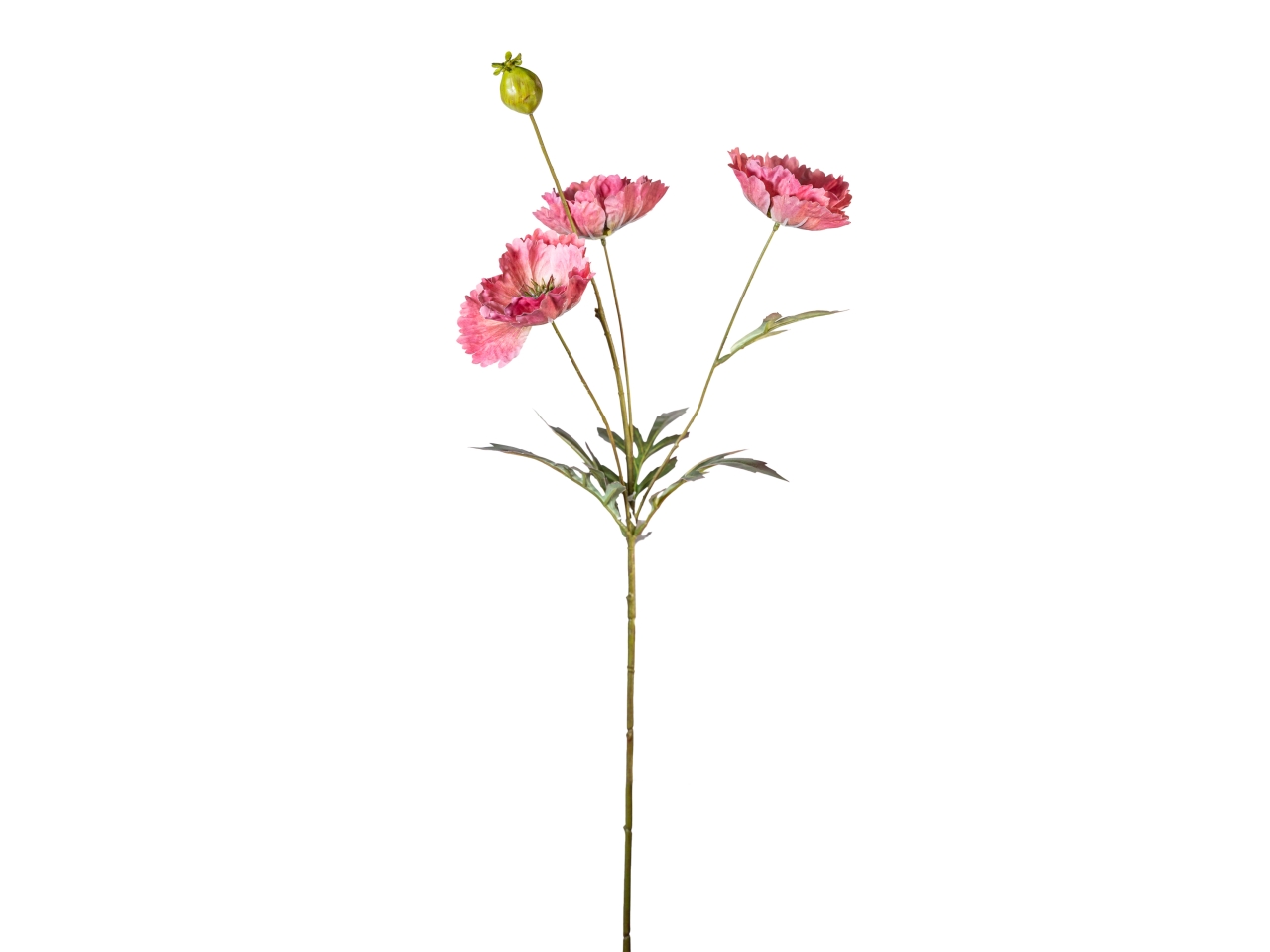 RAMO PAPAVERO 70CM C/FIORI+BOCC.ROSA S.18140024-16 RAMO PAPAVERO 70CM C/FIORI+BOCC.ROSA S.18140024-16