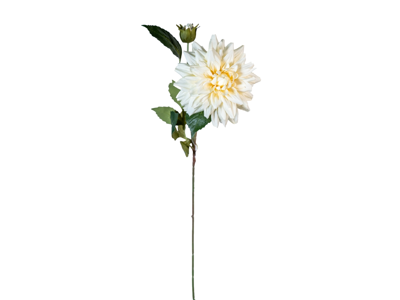 RAMO DALIA 60CM C/BOCCIOLO AVORIO 40000031-07