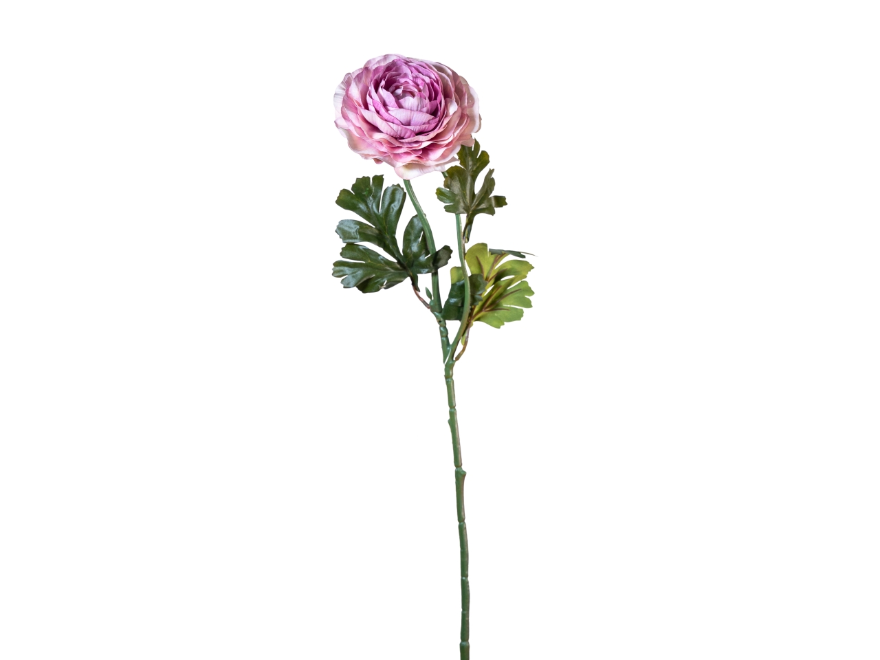 RAMO RANUNCOLO 60CM C/BOCCIOLO MALVA 40000035-06 RAMO RANUNCOLO 60CM C/BOCCIOLO MALVA 40000035-06