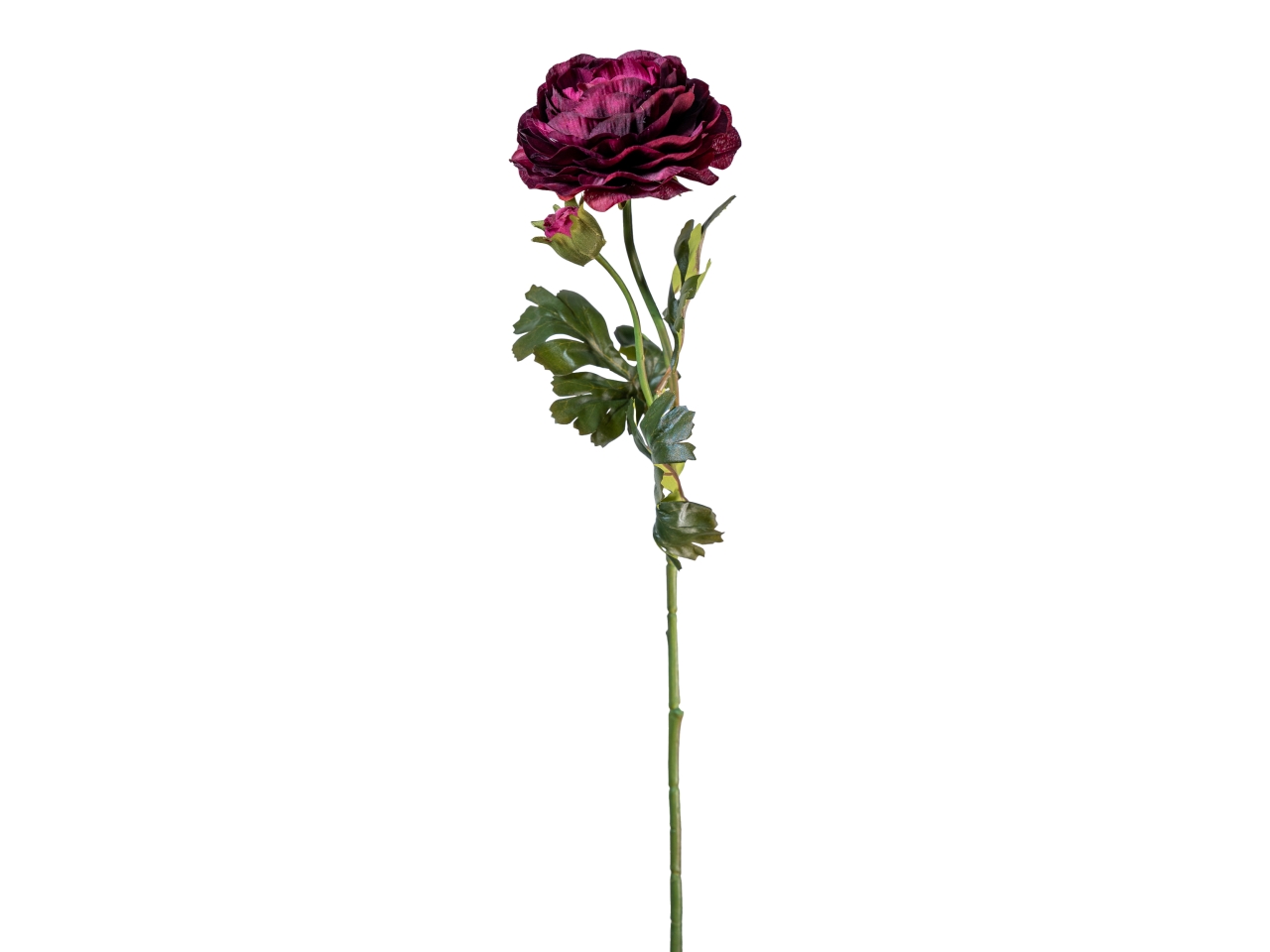 RAMO RANUNCOLO 60CM C/BOCCIOLO VIOLA 40000035-18 RAMO RANUNCOLO 60CM C/BOCCIOLO VIOLA 40000035-18