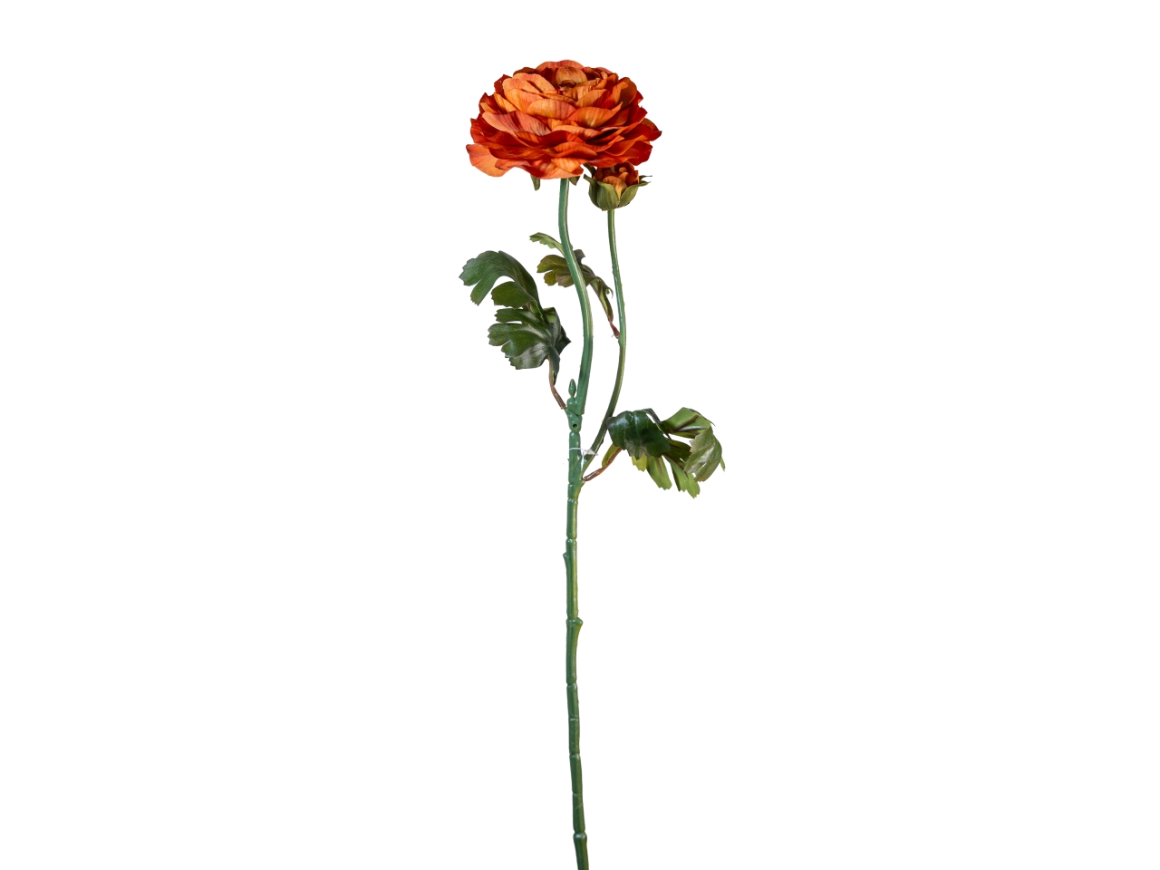 RAMO RANUNCOLO 60CM C/BOCCIOLO ARANCIO 40000035-09 RAMO RANUNCOLO 60CM C/BOCCIOLO ARANCIO 40000035-09