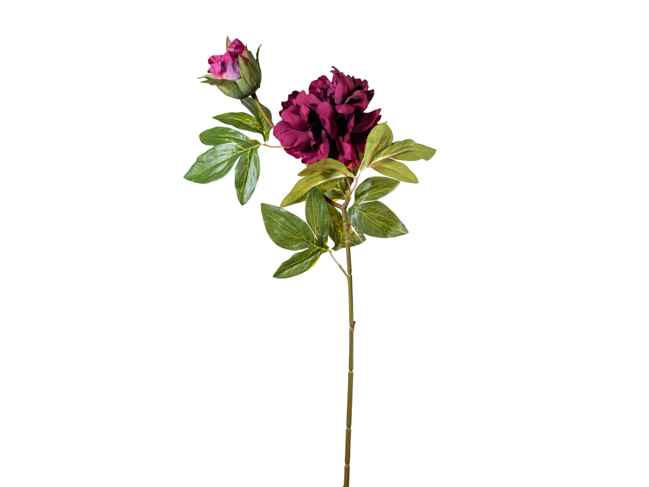 RAMO PEONIA 65CM FIORE+BOCCIOLO VIOLA 40000005-18$ RAMO PEONIA 65CM FIORE+BOCCIOLO VIOLA 40000005-18$