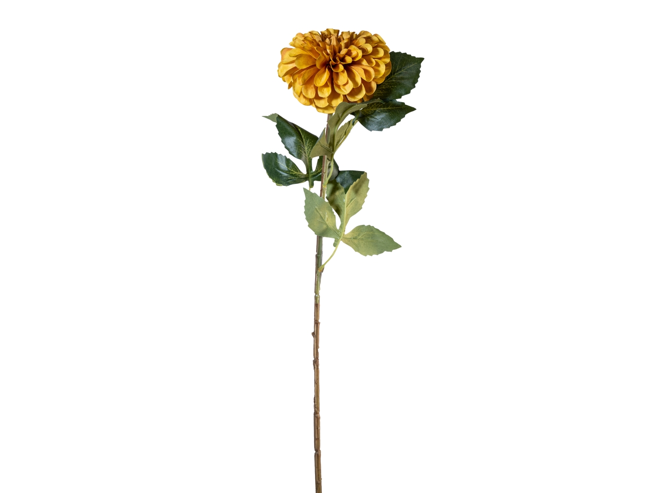 RAMO ZINNIA AUTUNNALE 70CM SENAPE 40000013-34 RAMO ZINNIA AUTUNNALE 70CM SENAPE 40000013-34