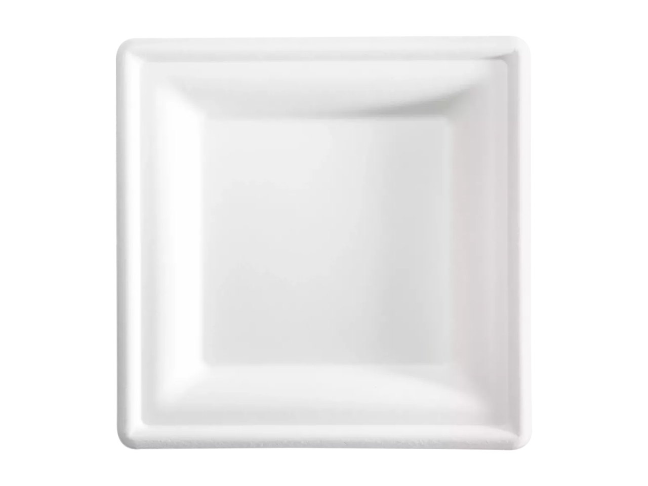 PIATTO QUADRATO PI.BAGASSA 16X16 50PZ BPS001BIO50F