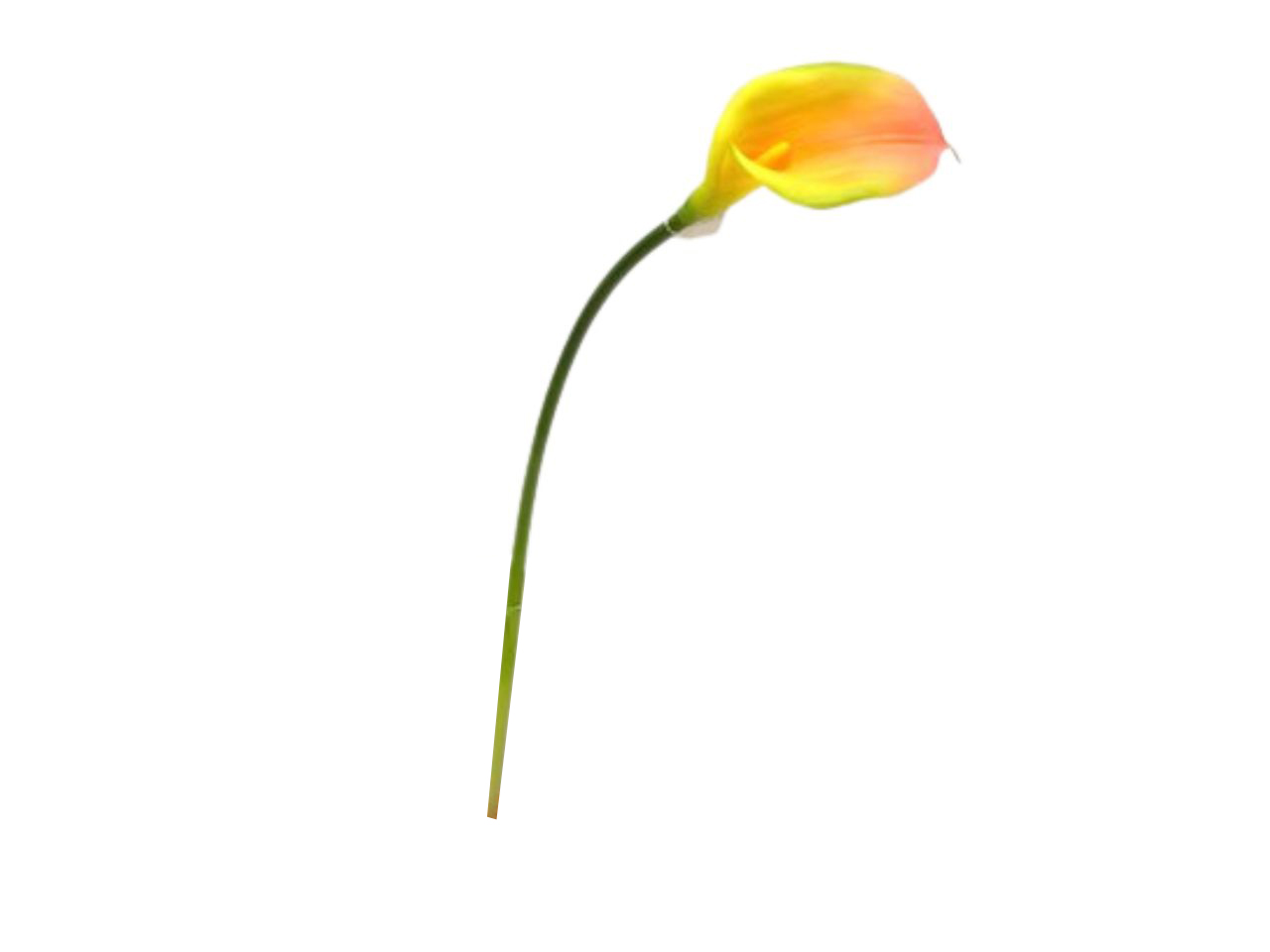 CALLA LILY SPRAY 73CM COLORE 18 114434 18 CALLA LILY SPRAY 73CM COLORE 18 114434 18