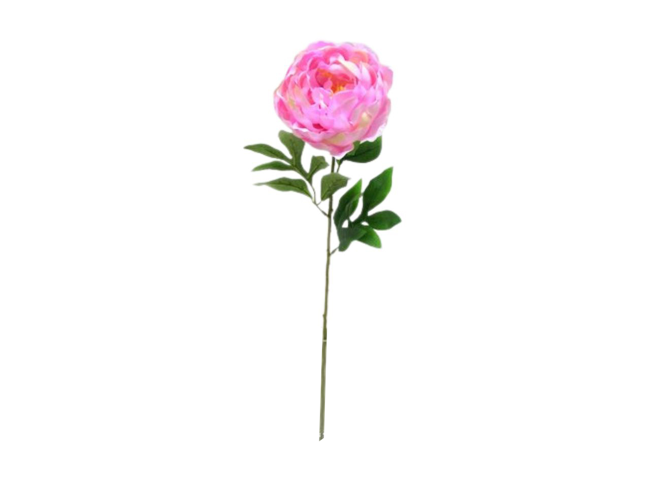 SINGLE PEONY SPRAY COLORE 03 DS003671 03