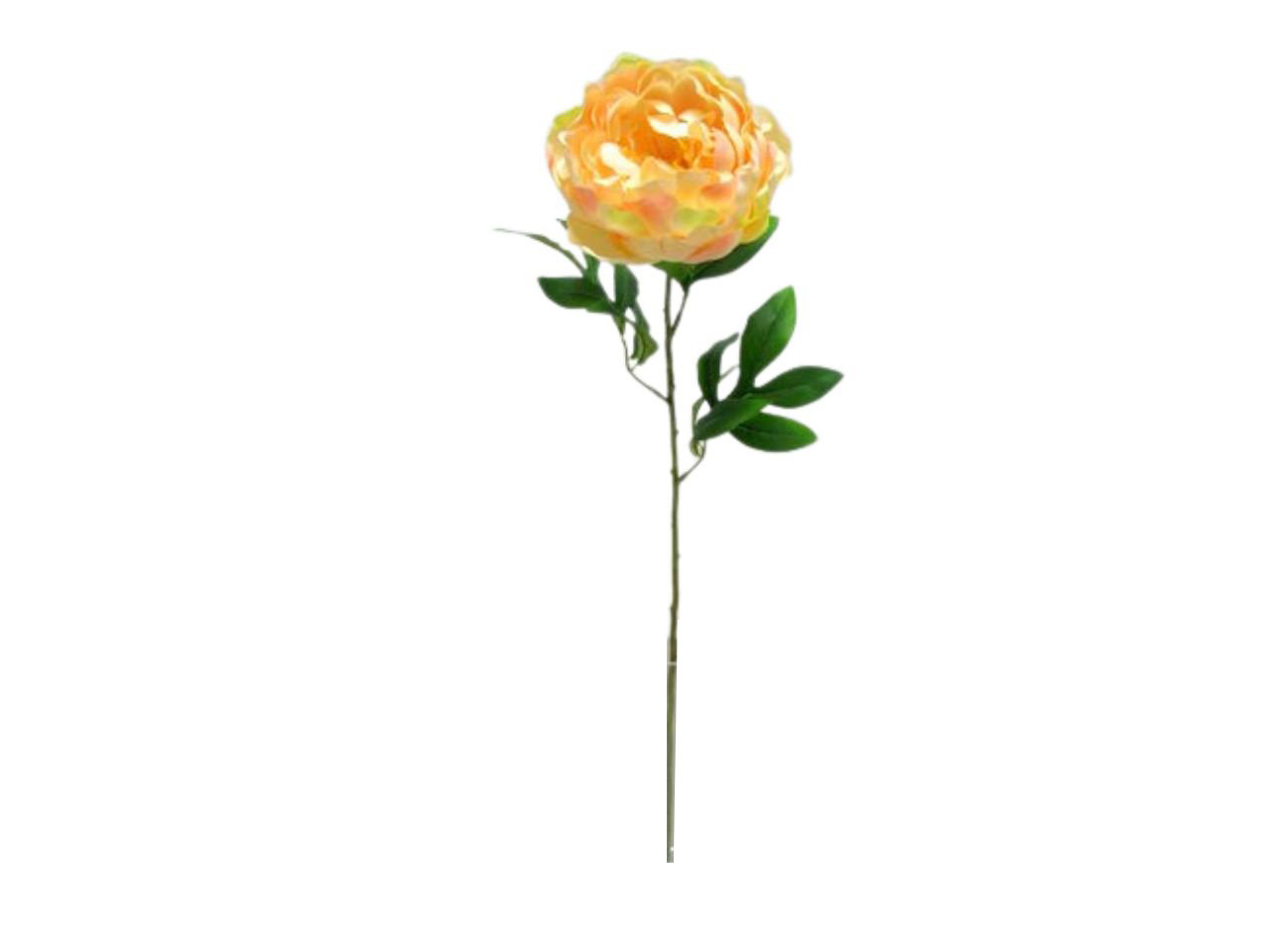 SINGLE PEONY SPRAY COLORE 04 DS003671 04