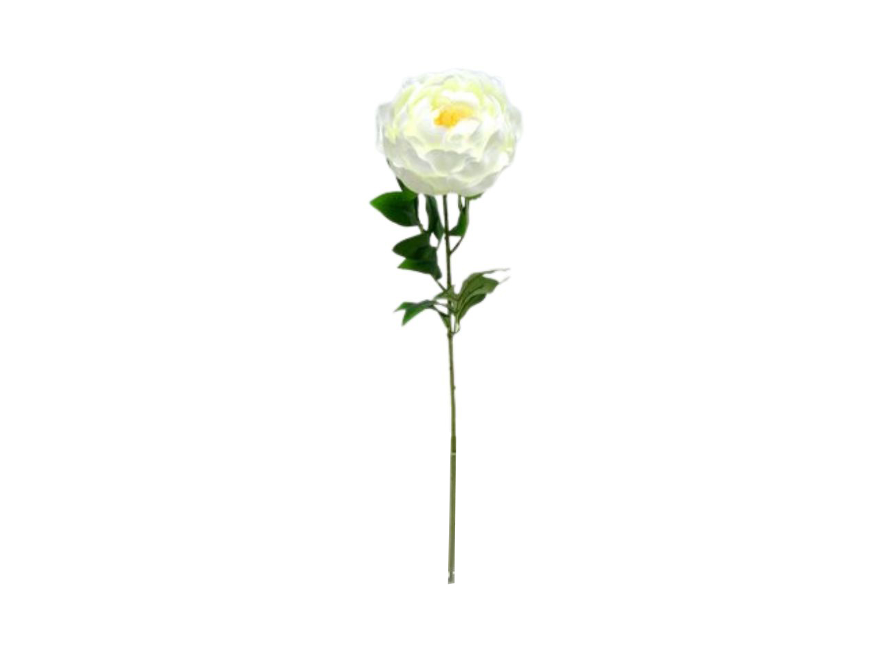 SINGLE PEONY SPRAY COLORE 05 DS003671 05