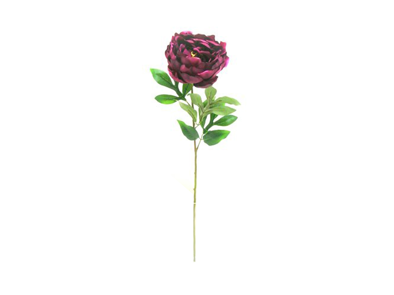 SINGLE PEONY SPRAY COLORE 17 DS003671 17