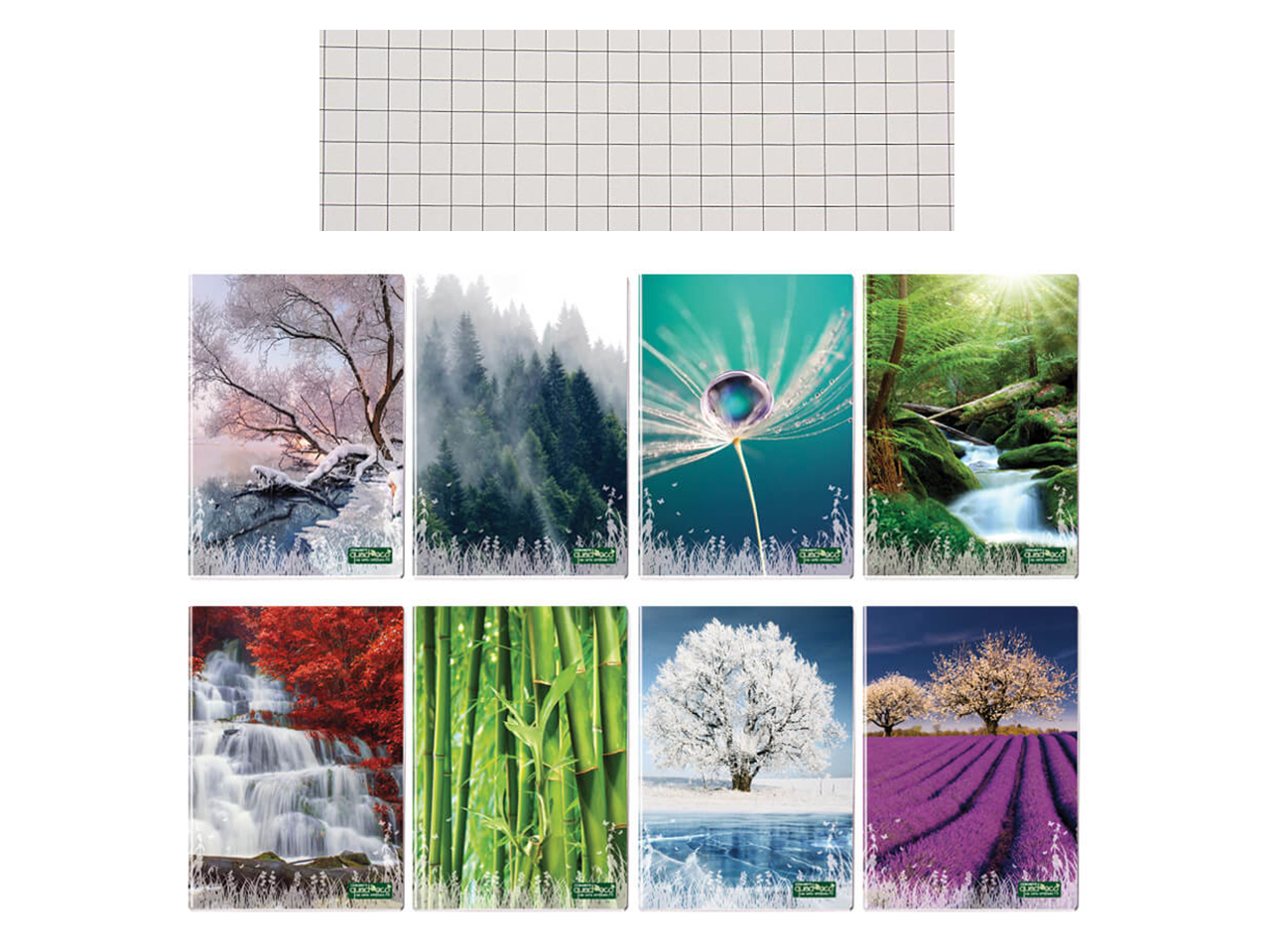 QUADERNO MAXI QUADECO’ F20+1 80GR 10PZ 5M 4771