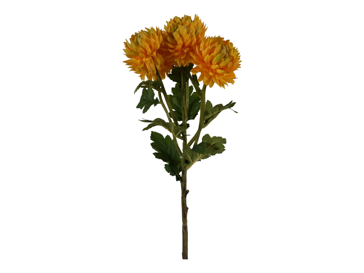 TRALCIO CRISANTEMO GIALLO A27293_06