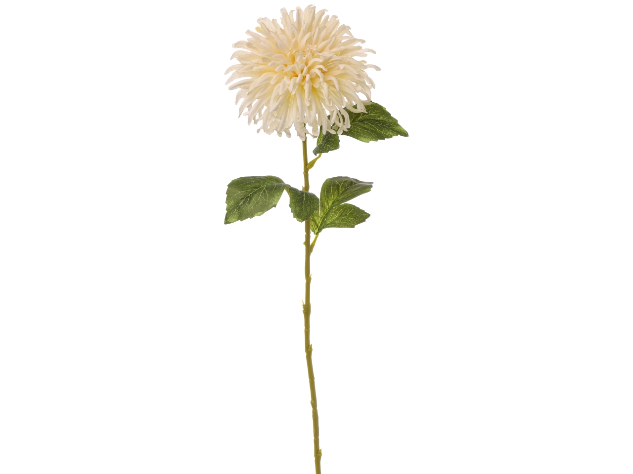CRISANTEMO FUJI SINGOLO H.65CM BIANCO A28078_03