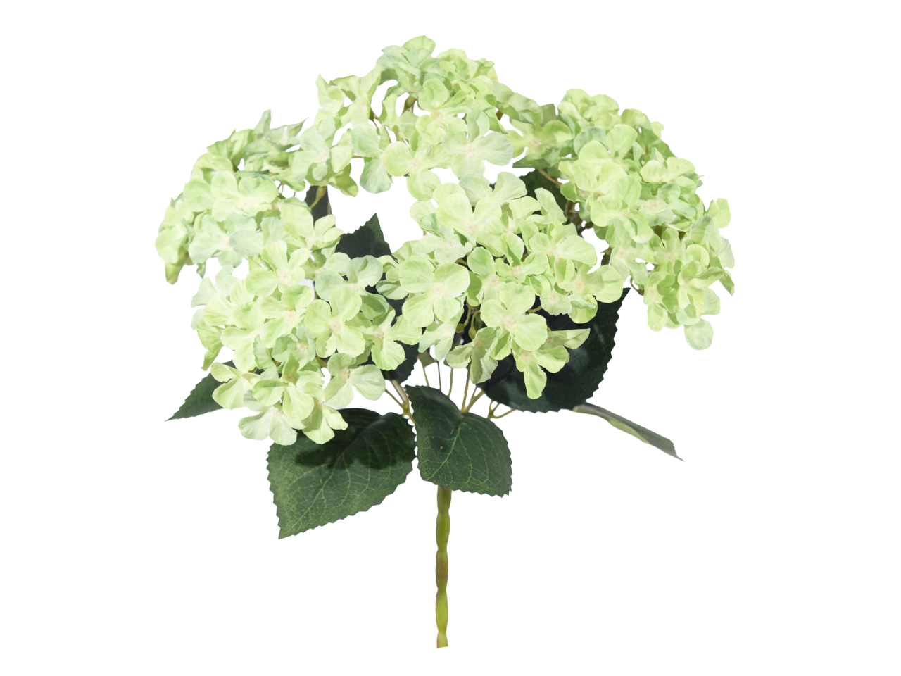 MAZZO ORTENSIA x 6 VERDE A36546_10