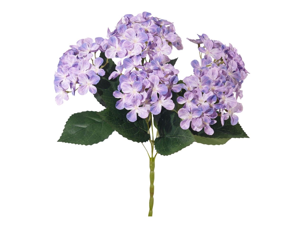 MAZZO ORTENSIA x 6 VIOLA A36546_13