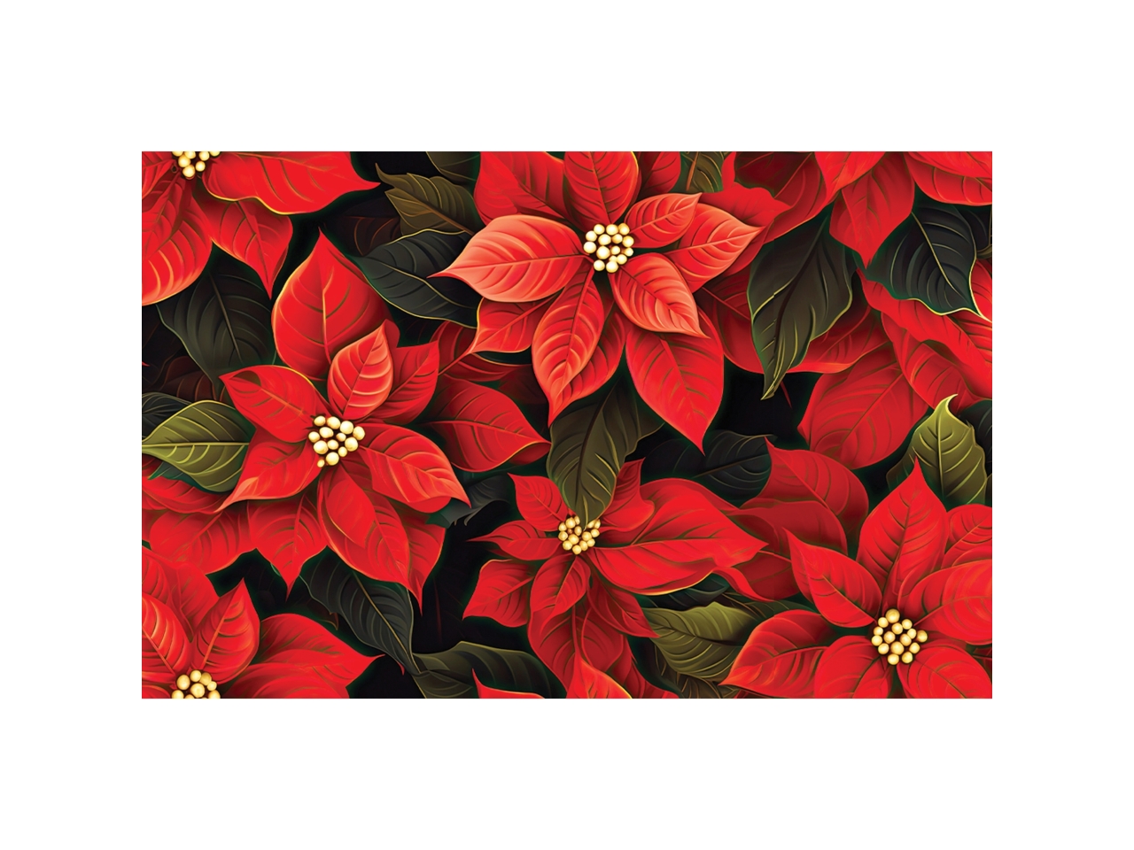 DIGIT TAPPETO 50X170CM XMAS STAR 001B03113507