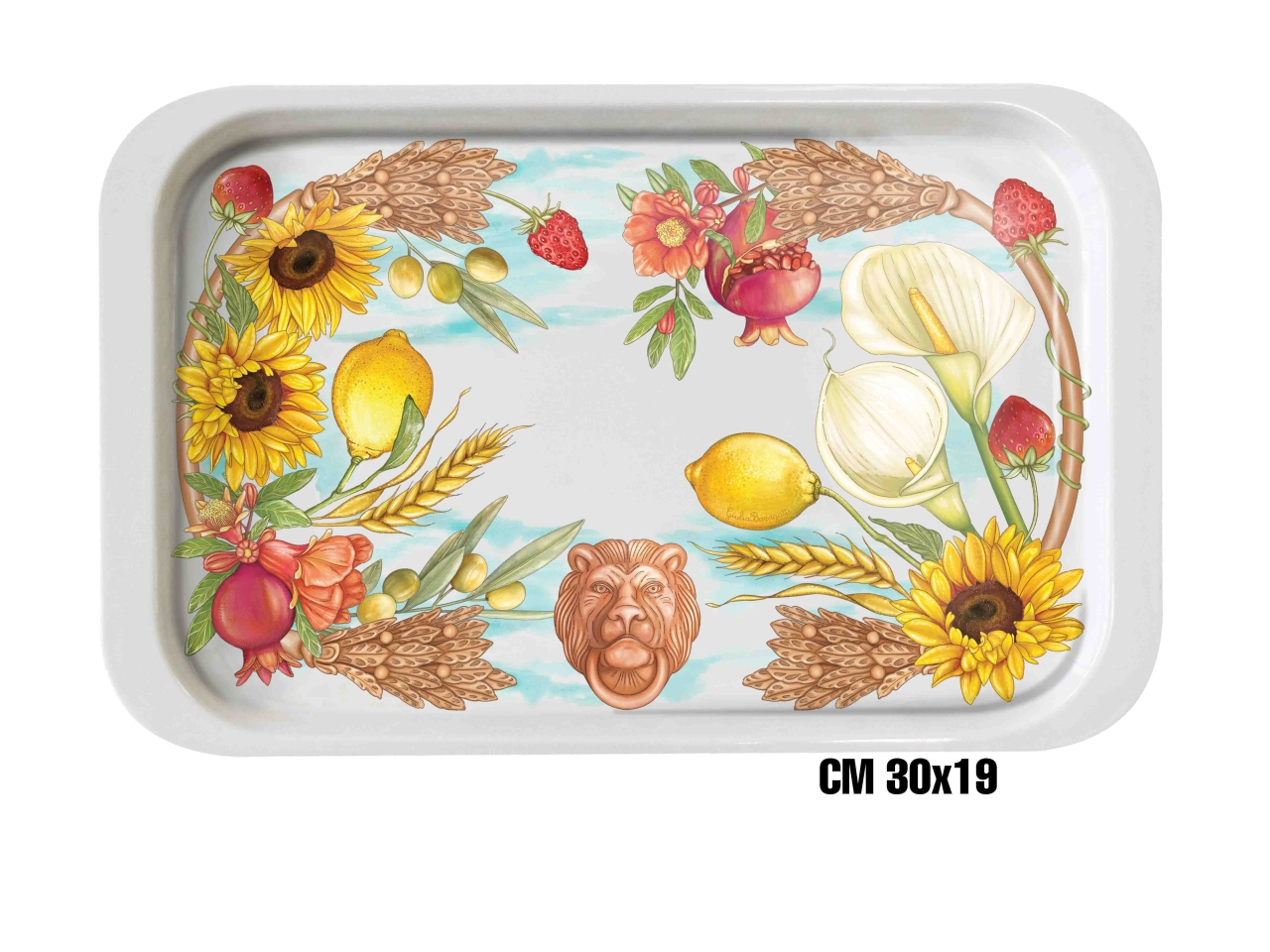 TERRACOTTA VASSOIO MELAMINA 30X19CM ME-1644-2735