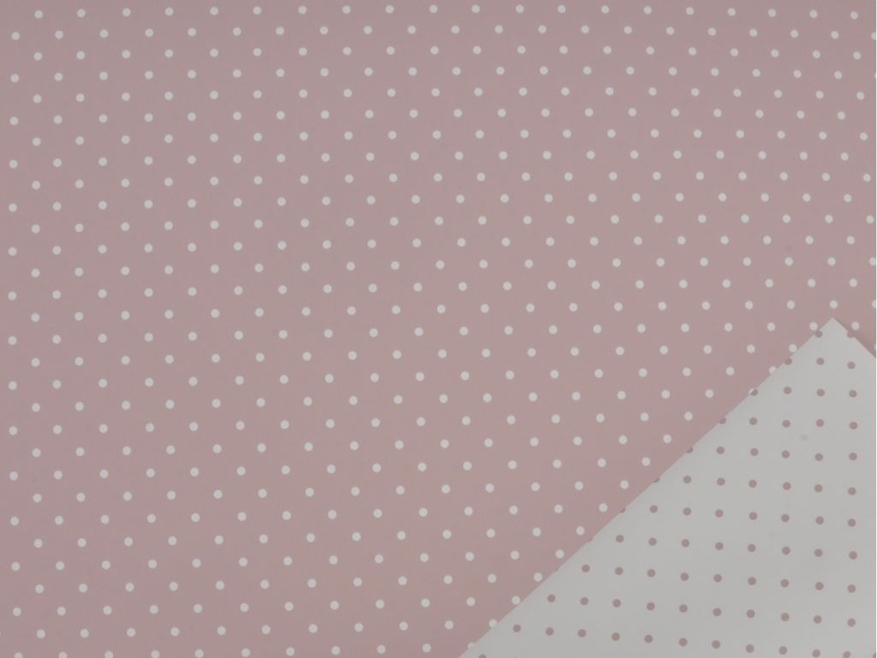 BOBINA MINI POIS 1X25MT PPL CIPRIA MPO 502 001 125 BOBINA MINI POIS 1X25MT PPL CIPRIA MPO 502 001 125