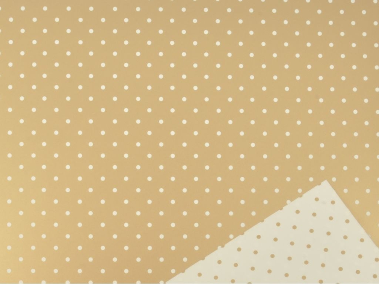 BOBINA MINI POIS 1X25MT PPL ORO MPO 7507 871 125 BOBINA MINI POIS 1X25MT PPL ORO MPO 7507 871 125