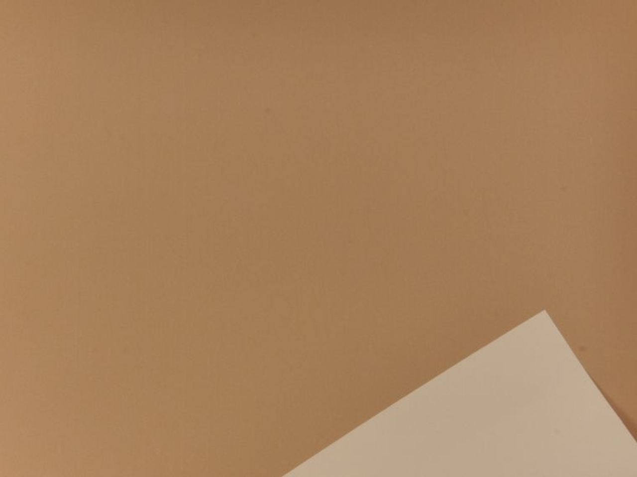 BOBINA SATINATO 1X25MT PPL NATUR SB 4685 4655 125 BOBINA SATINATO 1X25MT PPL NATUR SB 4685 4655 125