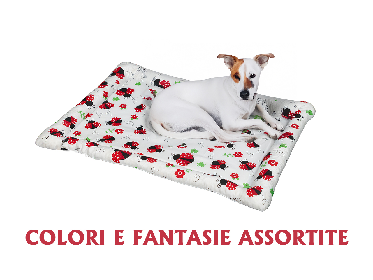 CUSCINO CUCCETTA 58X48CM EN-20285