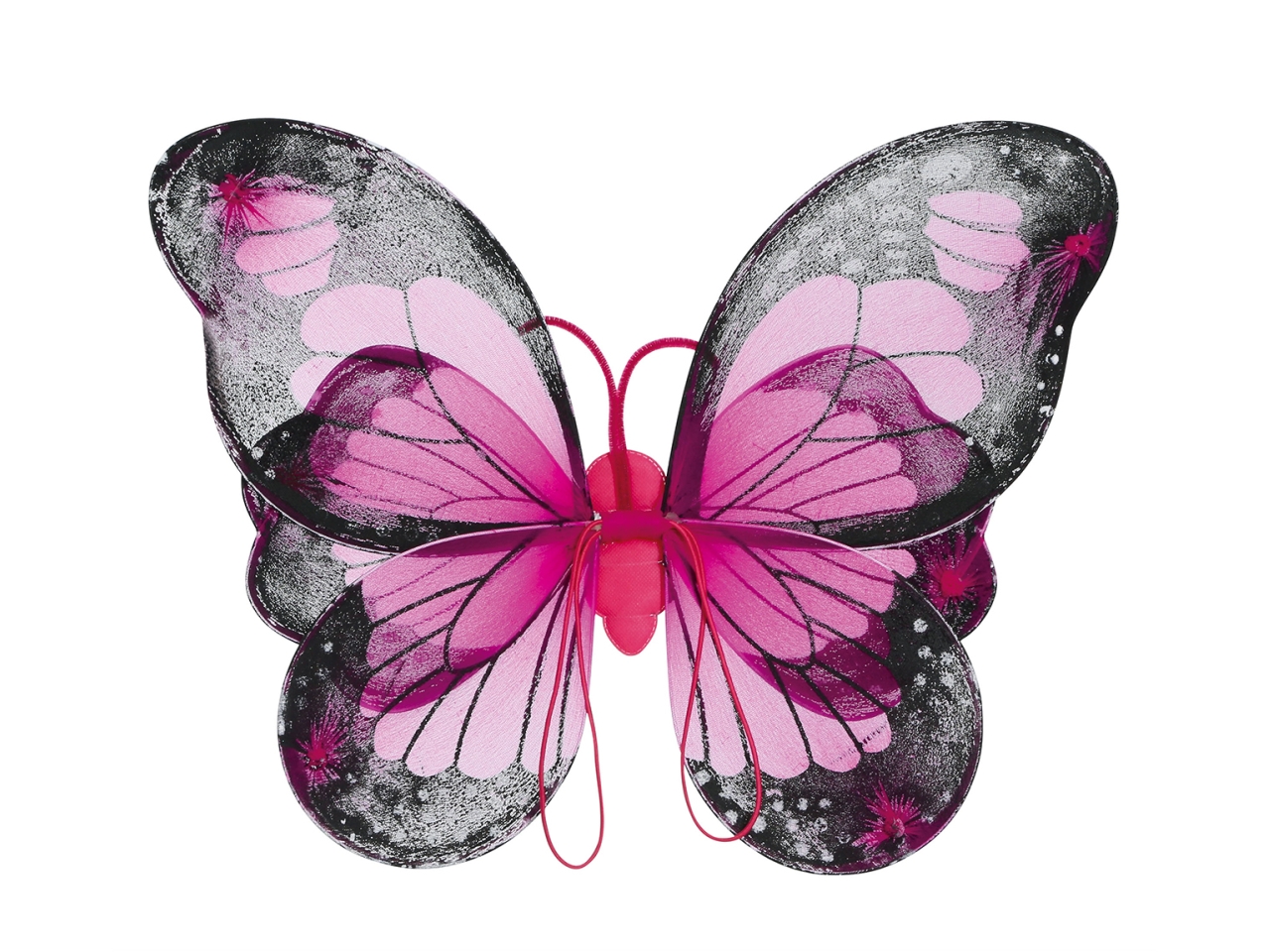 ALI FARFALLA MULTICOLOR 50X37CM 18774 ALI FARFALLA MULTICOLOR 50X37CM 18774