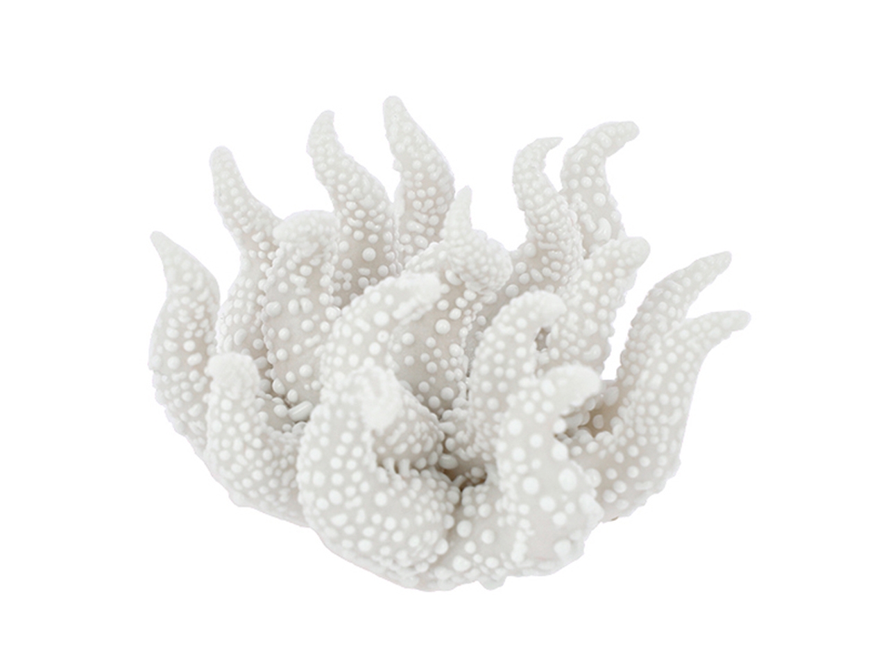 CORALLO PORCELLANA C/RUGIADA 4CM AVORIO 24PG6623