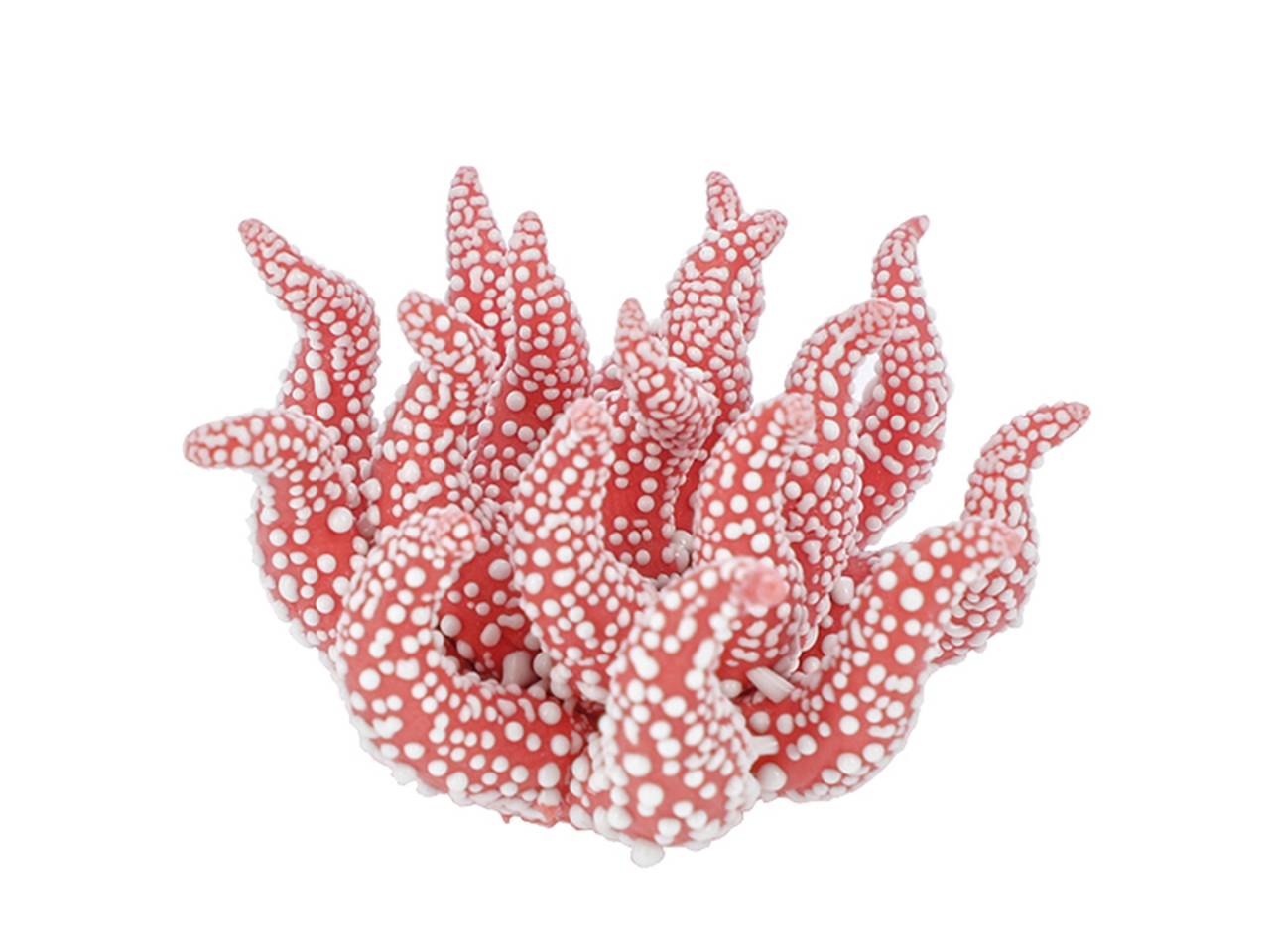 CORALLO PORCELLANA C/RUGIADA 4CM ROSSO 24PG6624