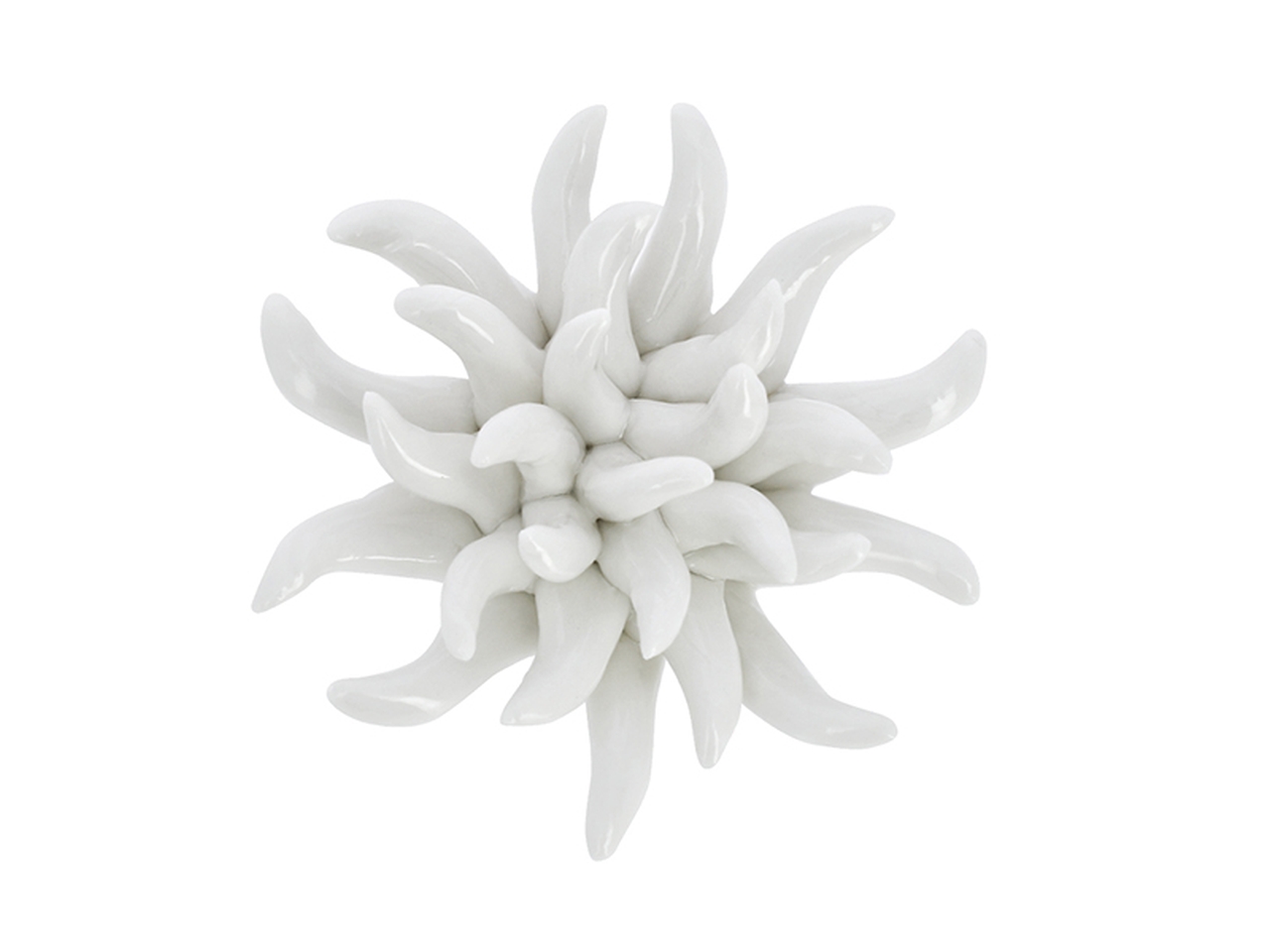 CORALLO IN PORCELLANA D.6XH.3CM BIANCO 17VA333