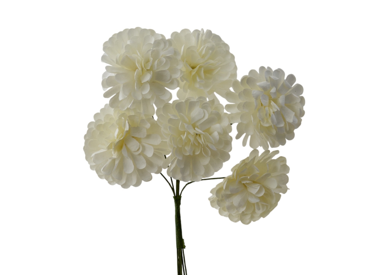 DALIA MINI D.3CM 72PZ PANNA 1439131 DALIA MINI D.3CM 72PZ PANNA 1439131