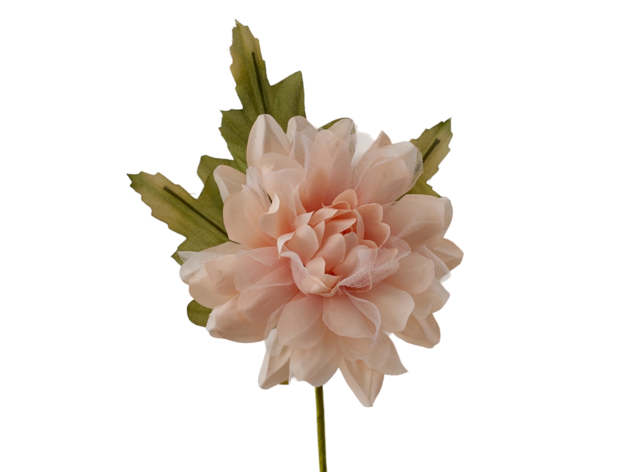 DALIA CON FOGLIE CIPRIA 1362088 DALIA CON FOGLIE CIPRIA 1362088