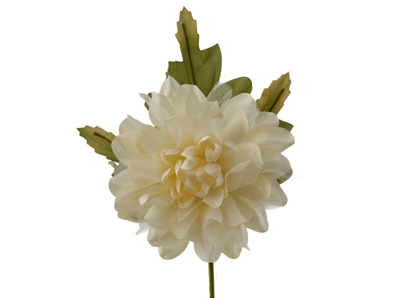 DALIA CON FOGLIE PANNA 1362085 DALIA CON FOGLIE PANNA 1362085