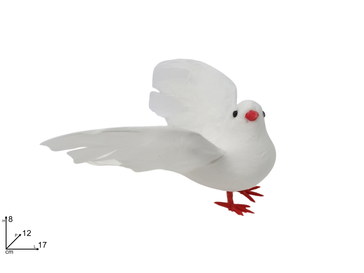 COLOMBA 8CM XPA25001981