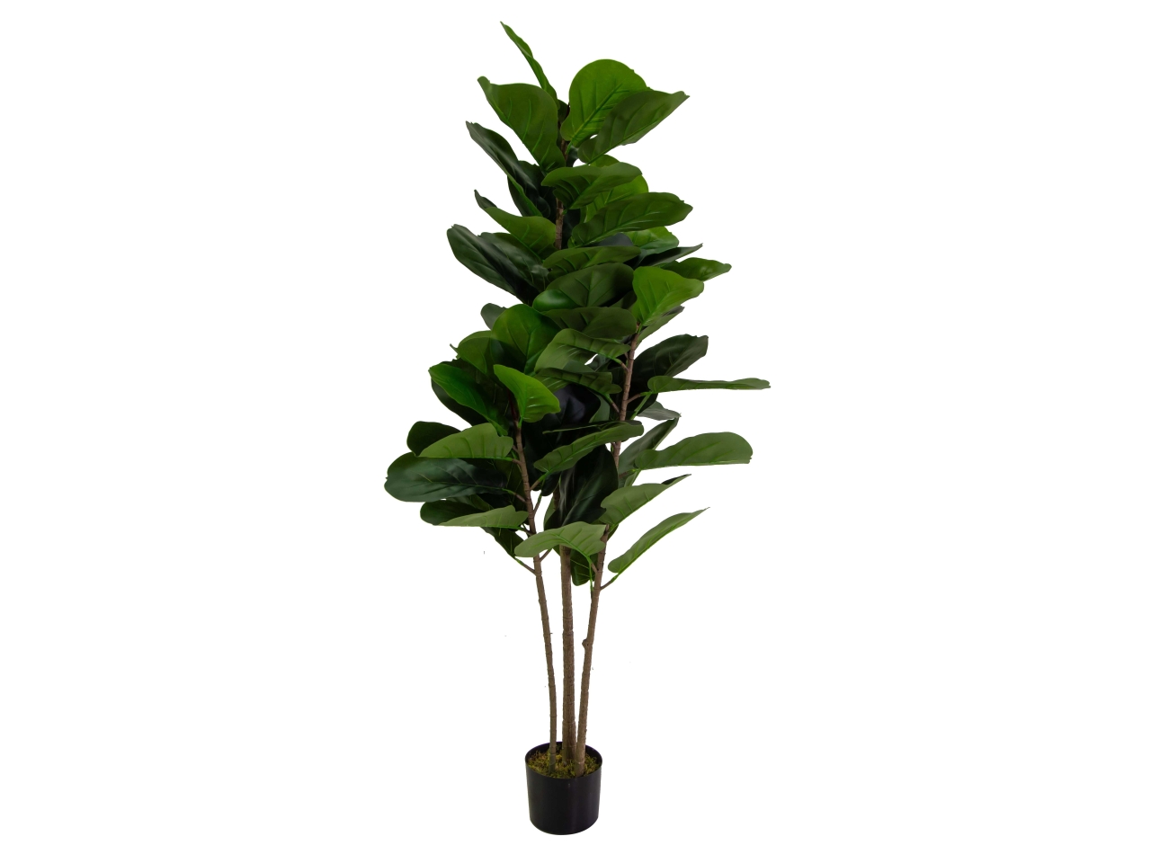 PIANTA FICUS ARTIFICIALE 150CM 3636540000