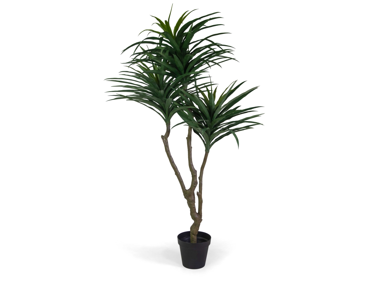 PIANTA DRACENA ARTIFICIALE 180CM 3637420000