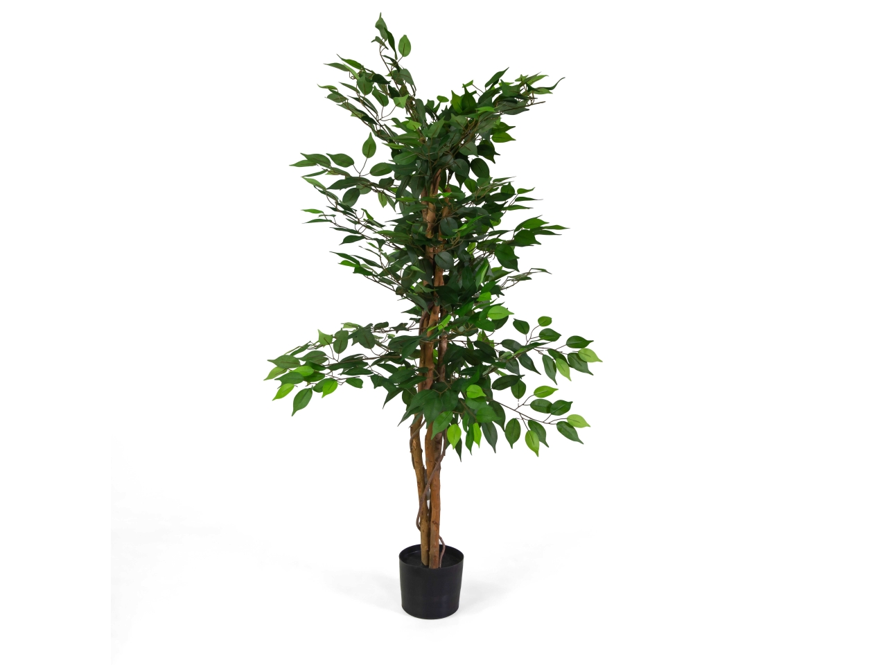PIANTA FICUS ARTIFICIALE 150CM 3637590000
