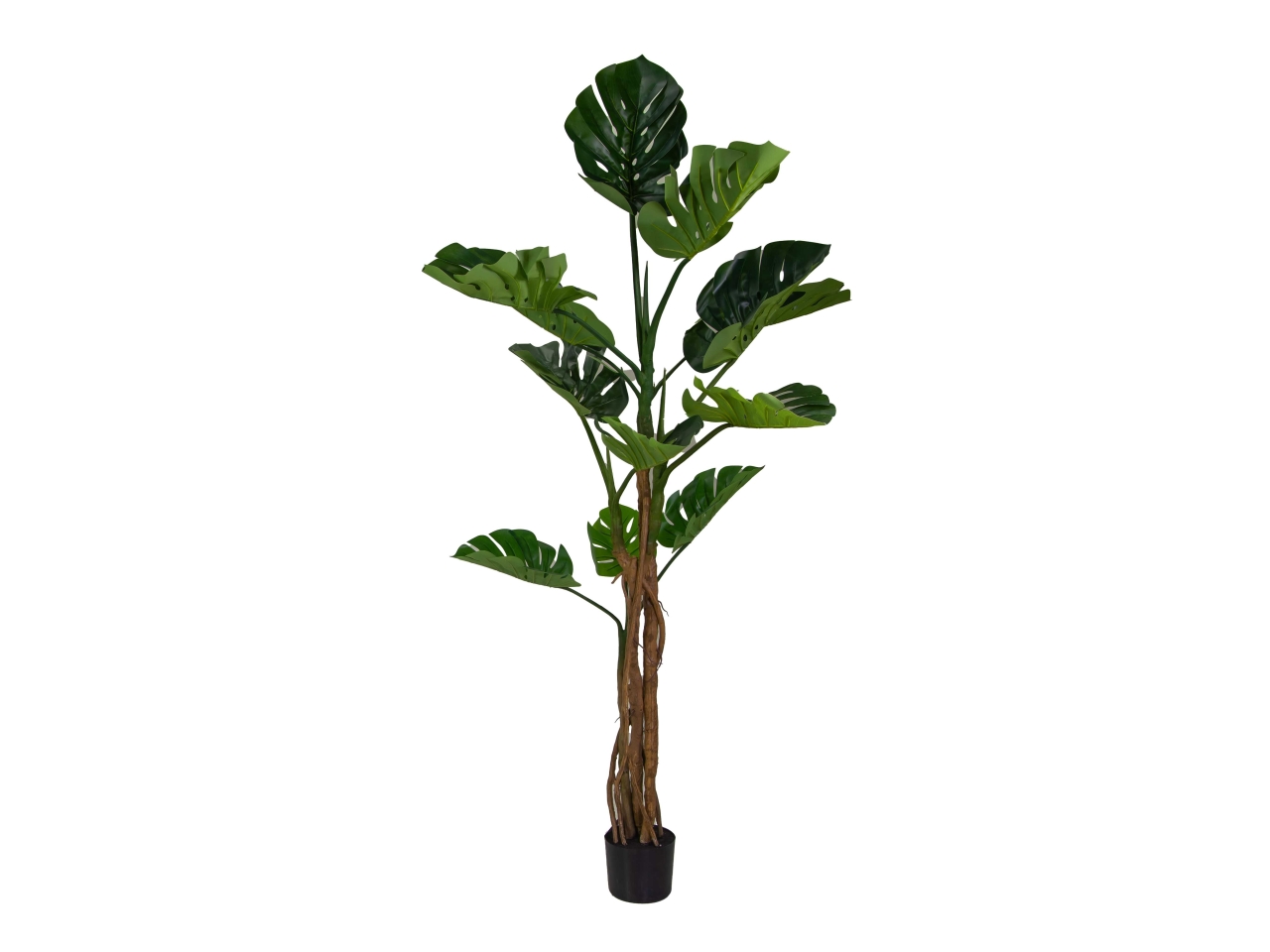 PIANTA MONSTERA ARTIFICIALE 180CM 3637740000
