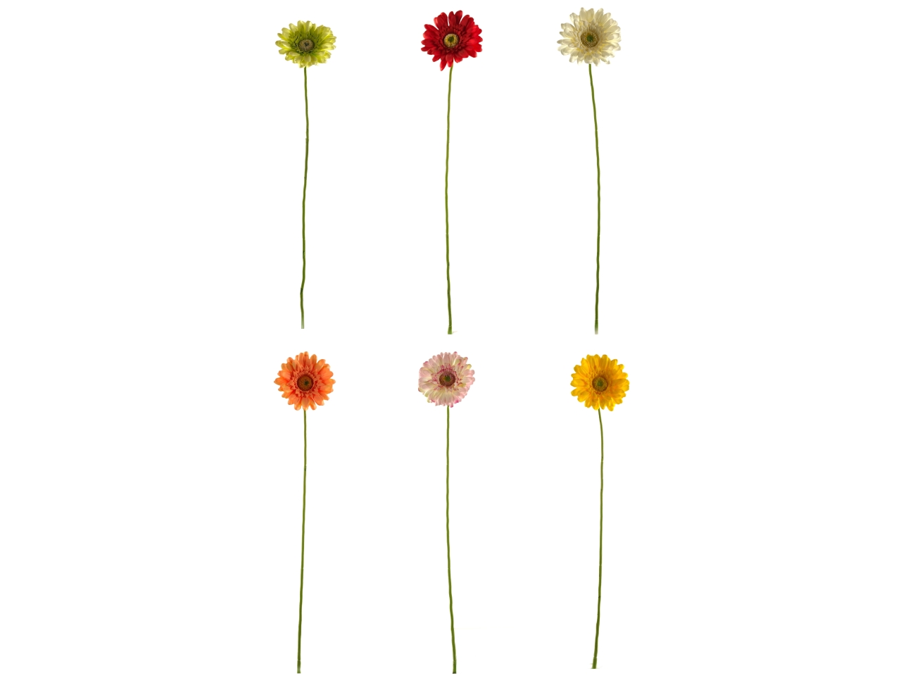 GERBERA SPRUZZATO  61CM ASSORTITI DS002136