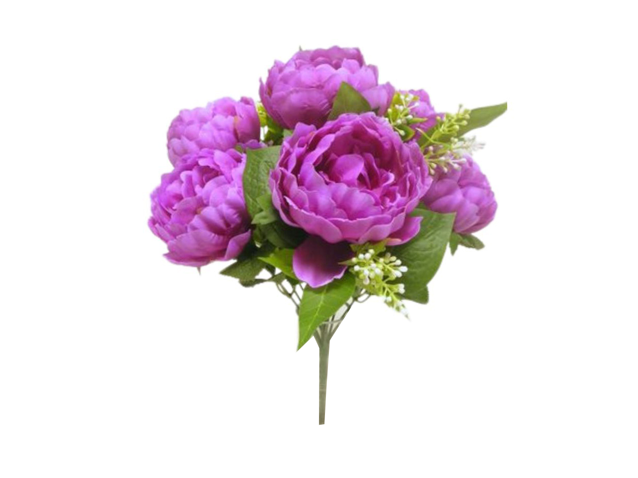 PEONIA CESPUGLIO 12 RAMI 6 FIORI FUCSIA DS003383 PEONIA CESPUGLIO 12 RAMI 6 FIORI FUCSIA DS003383