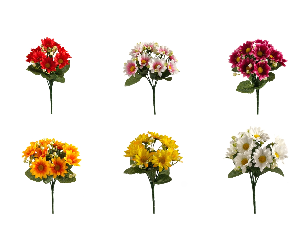 MARGHERITA CESPUGLIO 24CM ASSORTITI DS003575 MARGHERITA CESPUGLIO 24CM ASSORTITI DS003575