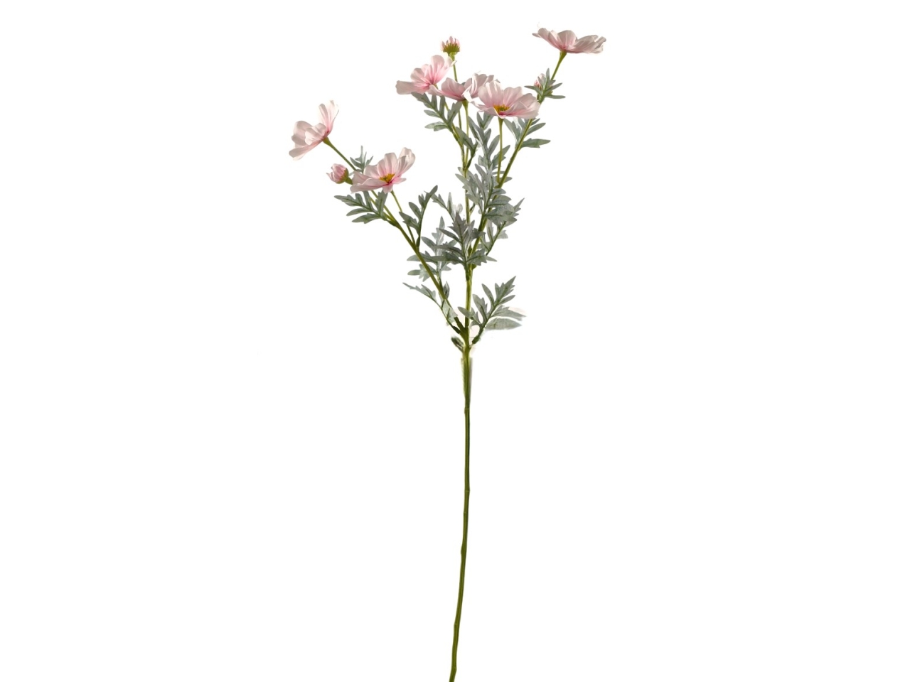 COSMOS SPRUZZATO MAZZO 80CM ROSA DS003695