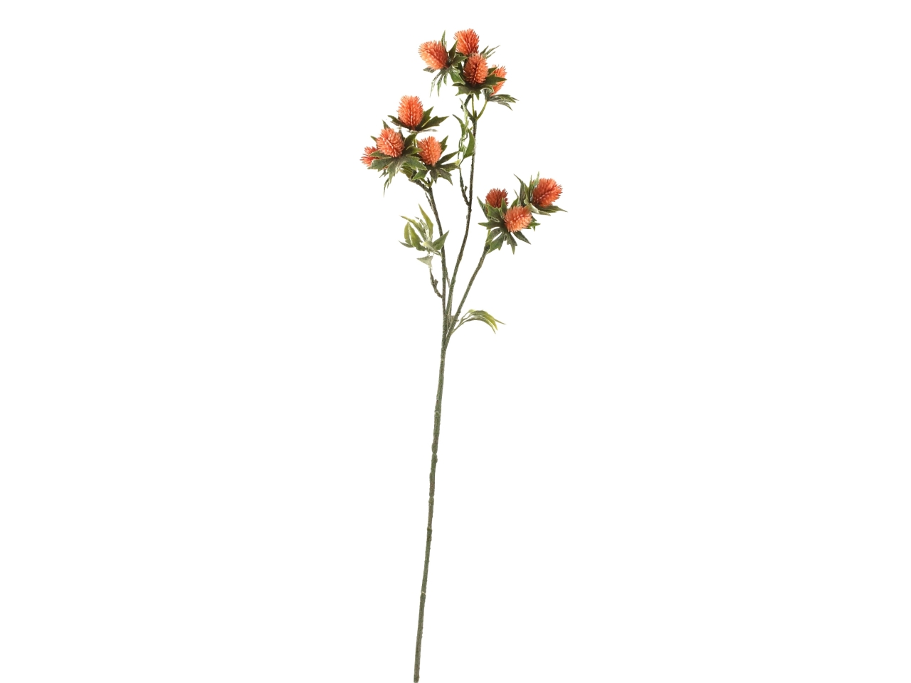 CARTHAMUS SPRUZZATO 3 RAMI ROSA DS003707