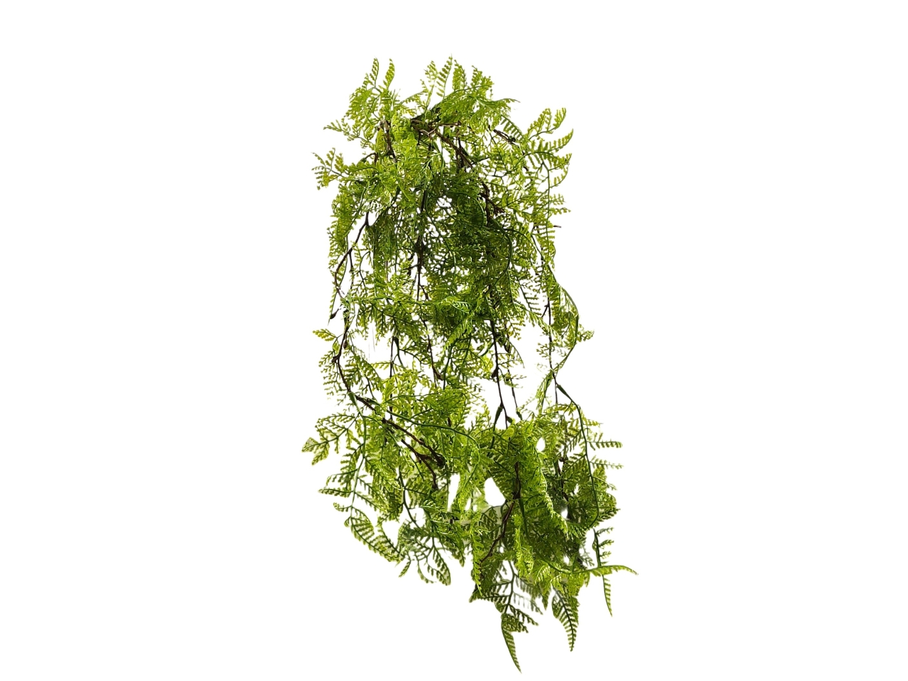FELCE CASCANTE CESP.3 RAMI 86CM VERDE DS003775