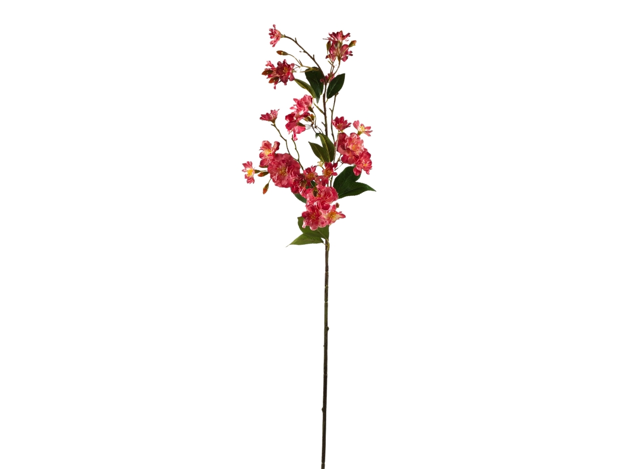FIORE DI CILIEGIO SPRUZZATO FUCSIA DS003820
